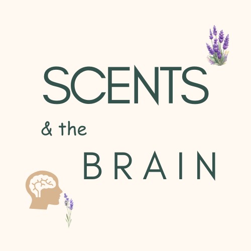 Scents & The Brain: How Smells Affect Learning and Focus