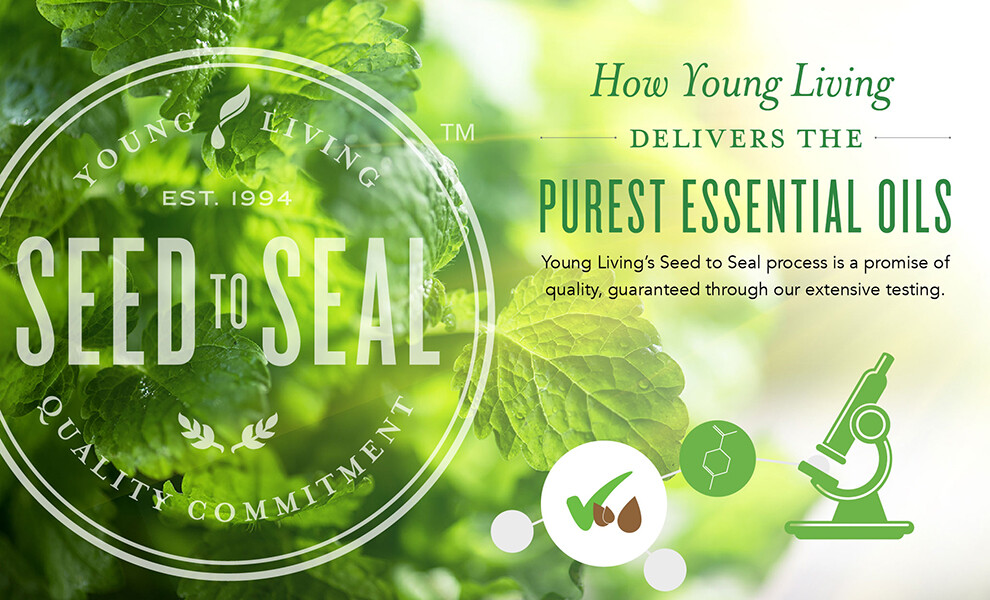 Essential Oils: Nature's Living Energy