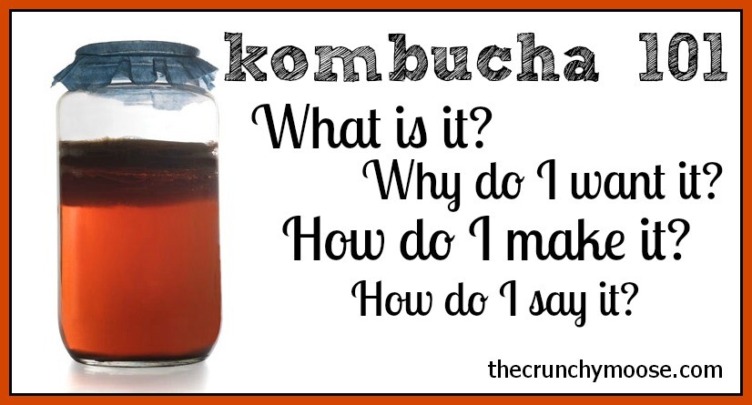 Kombucha: What Is It, How To Say It, and How To Make It
