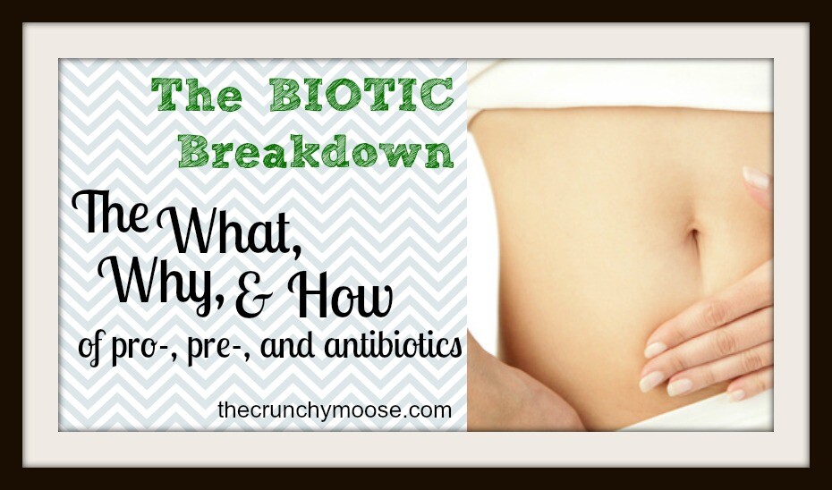 The Biotic Breakdown: All About Prebiotics, Probiotics, & Antibiotics