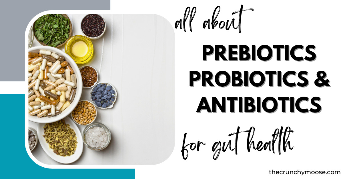 The Biotic Breakdown: All About Prebiotics, Probiotics, & Antibiotics