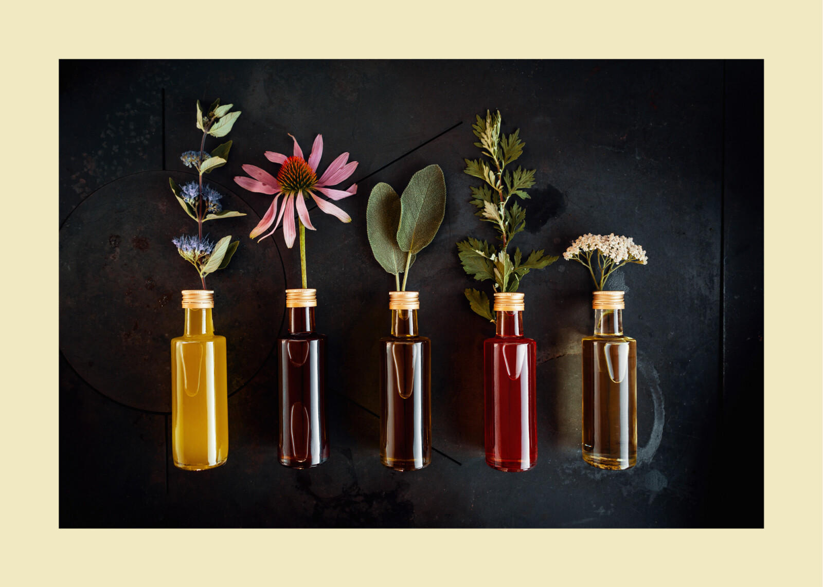 All about Herbellion's Herbal Oils