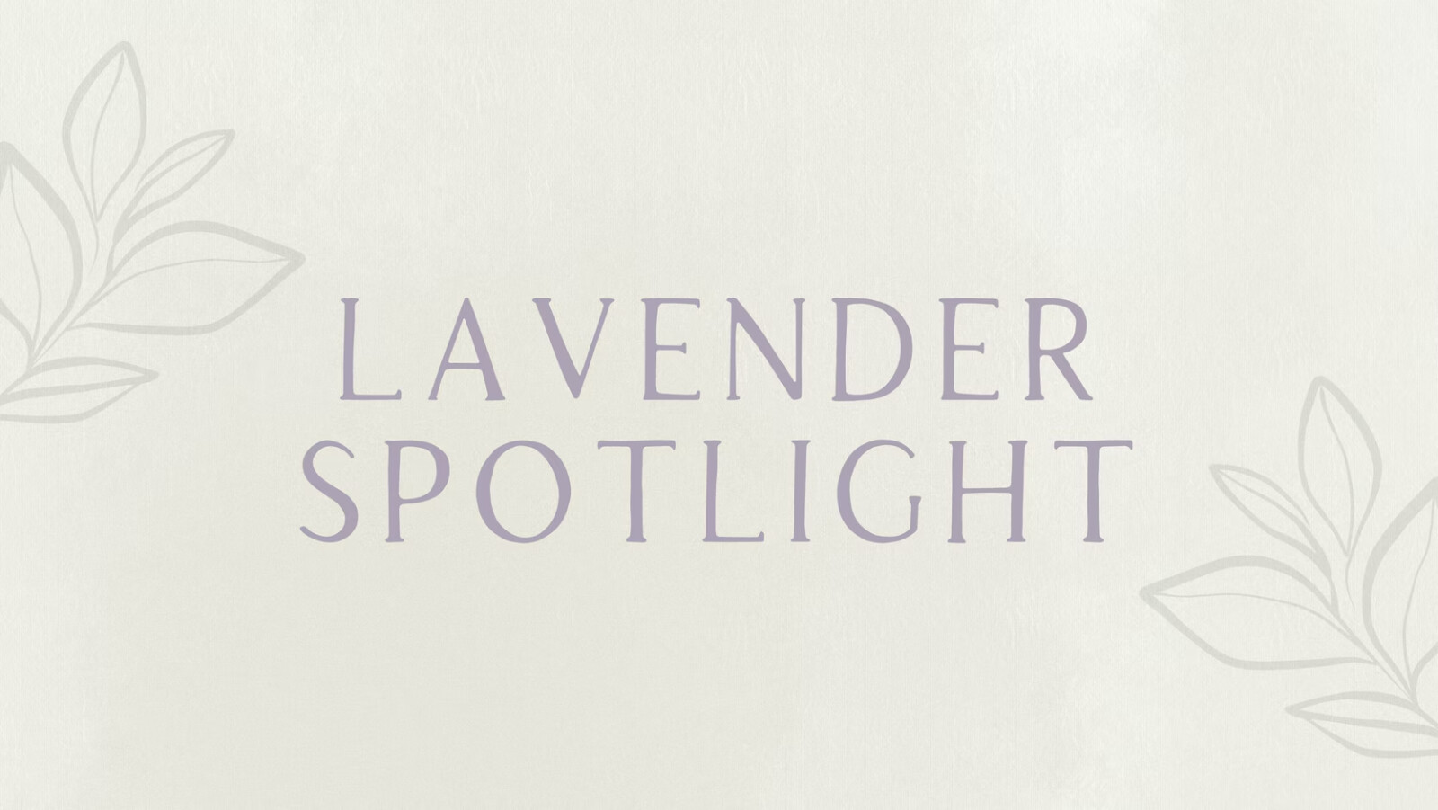 Lavender Spotlight