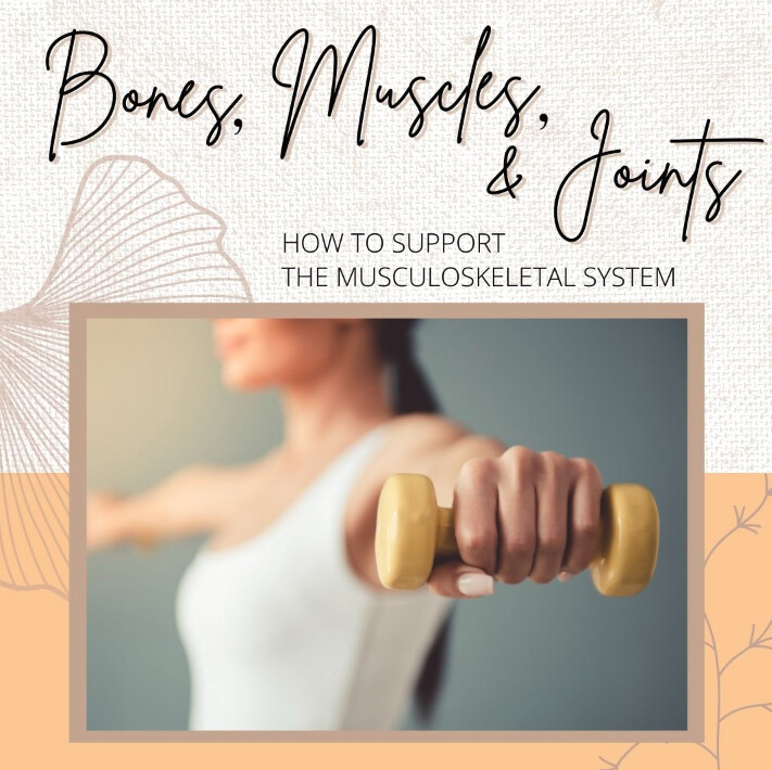 Bones, Muscles, and Joints...How to Support the Musculoskeletal System