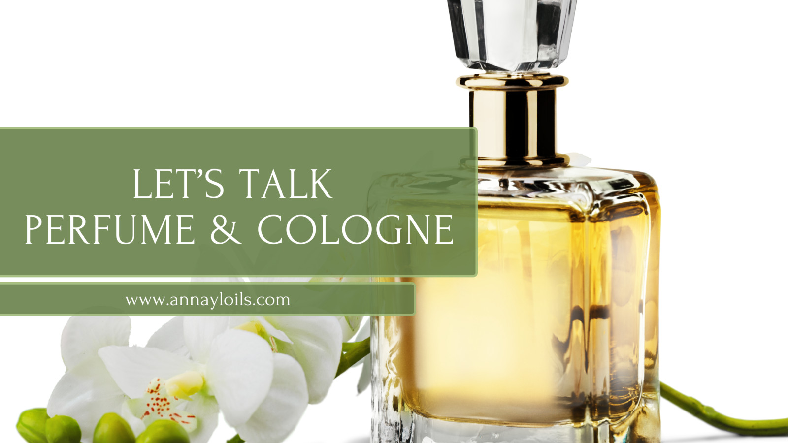 Lets talk Perfume & Cologne!