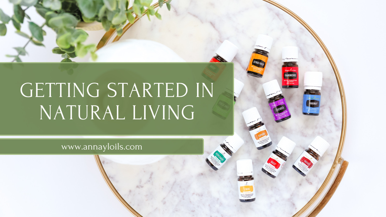 Getting Started in Natural Living