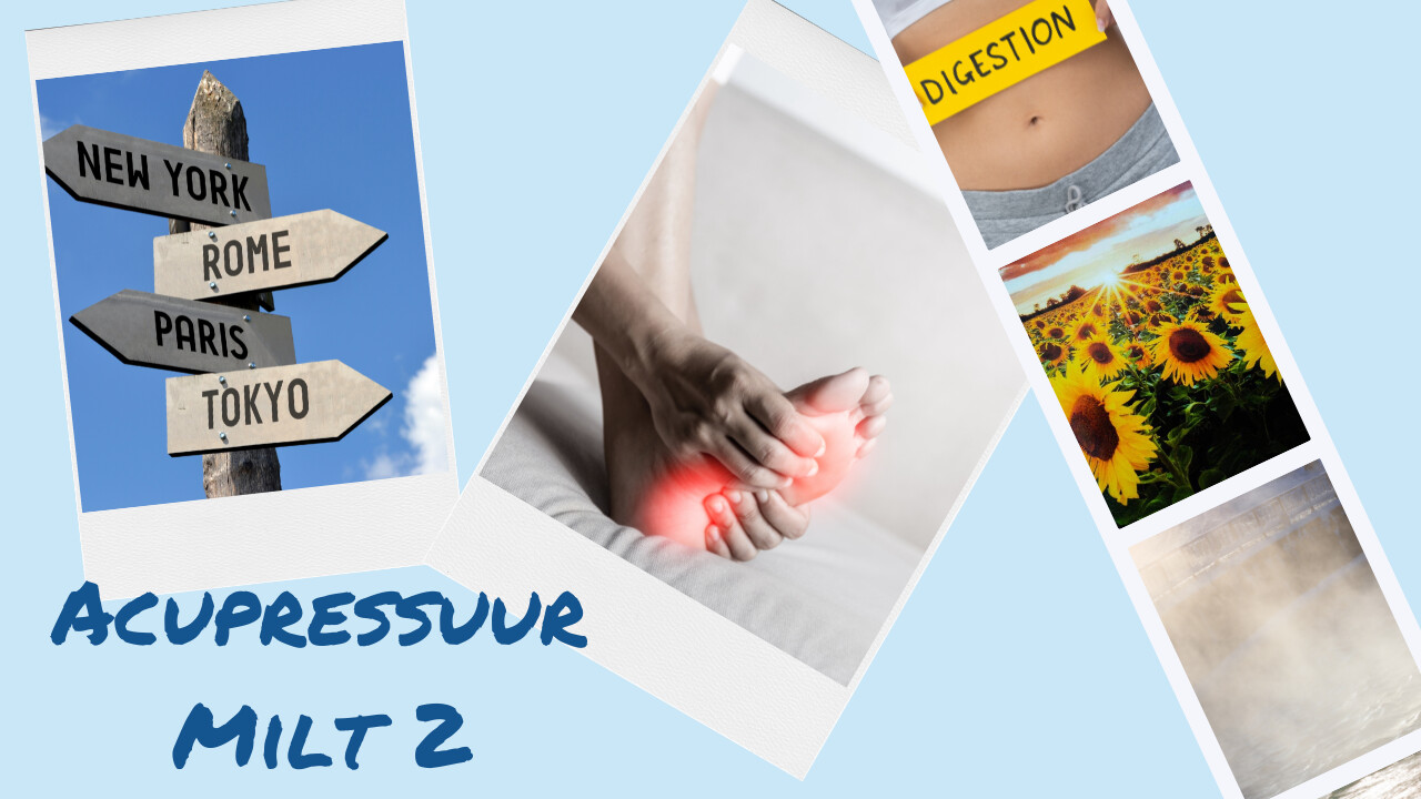 Acupressuur Milt 2
