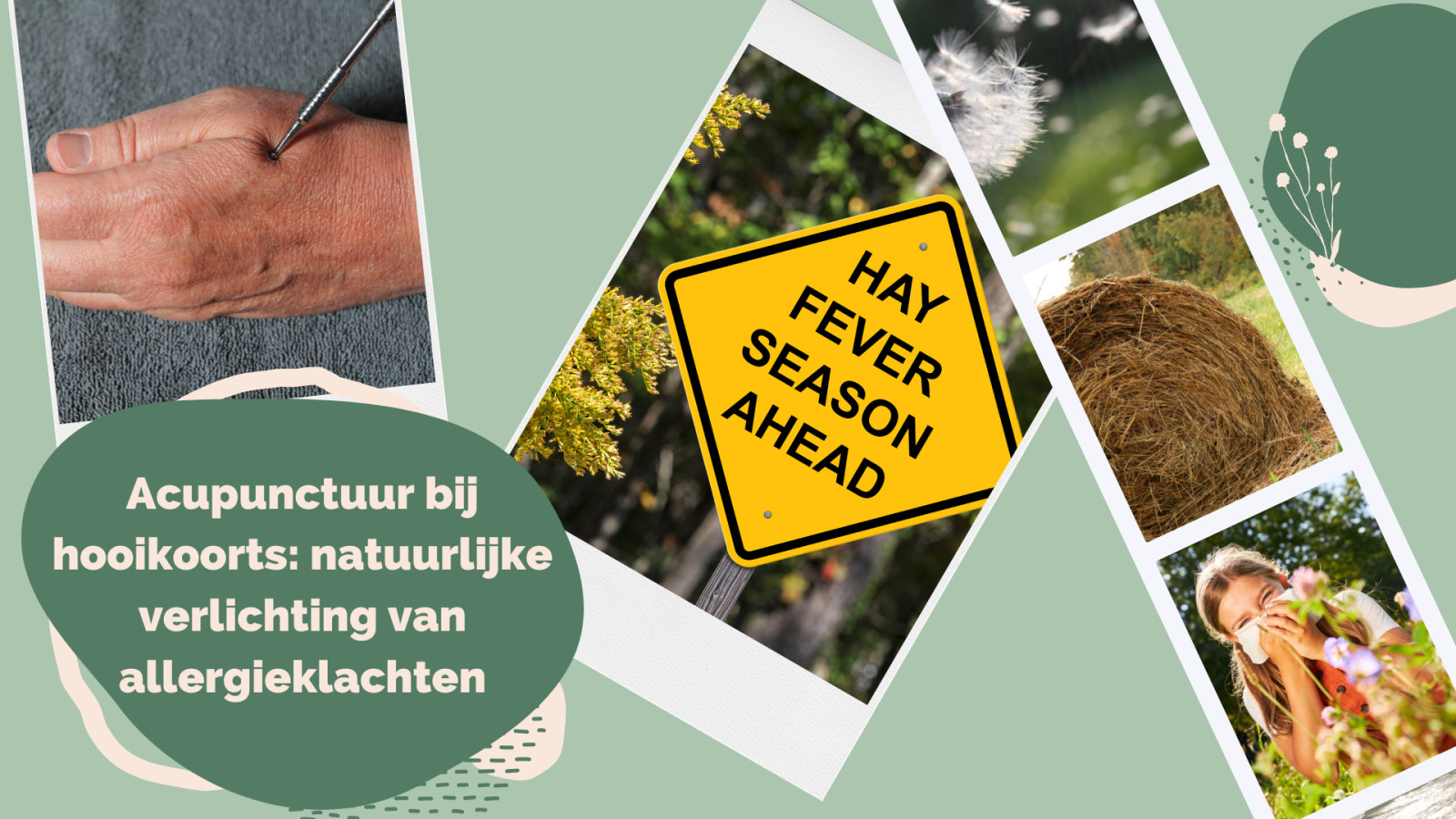 Acupunctuur bij hooikoorts: natuurlijke verlichting van allergieklachten