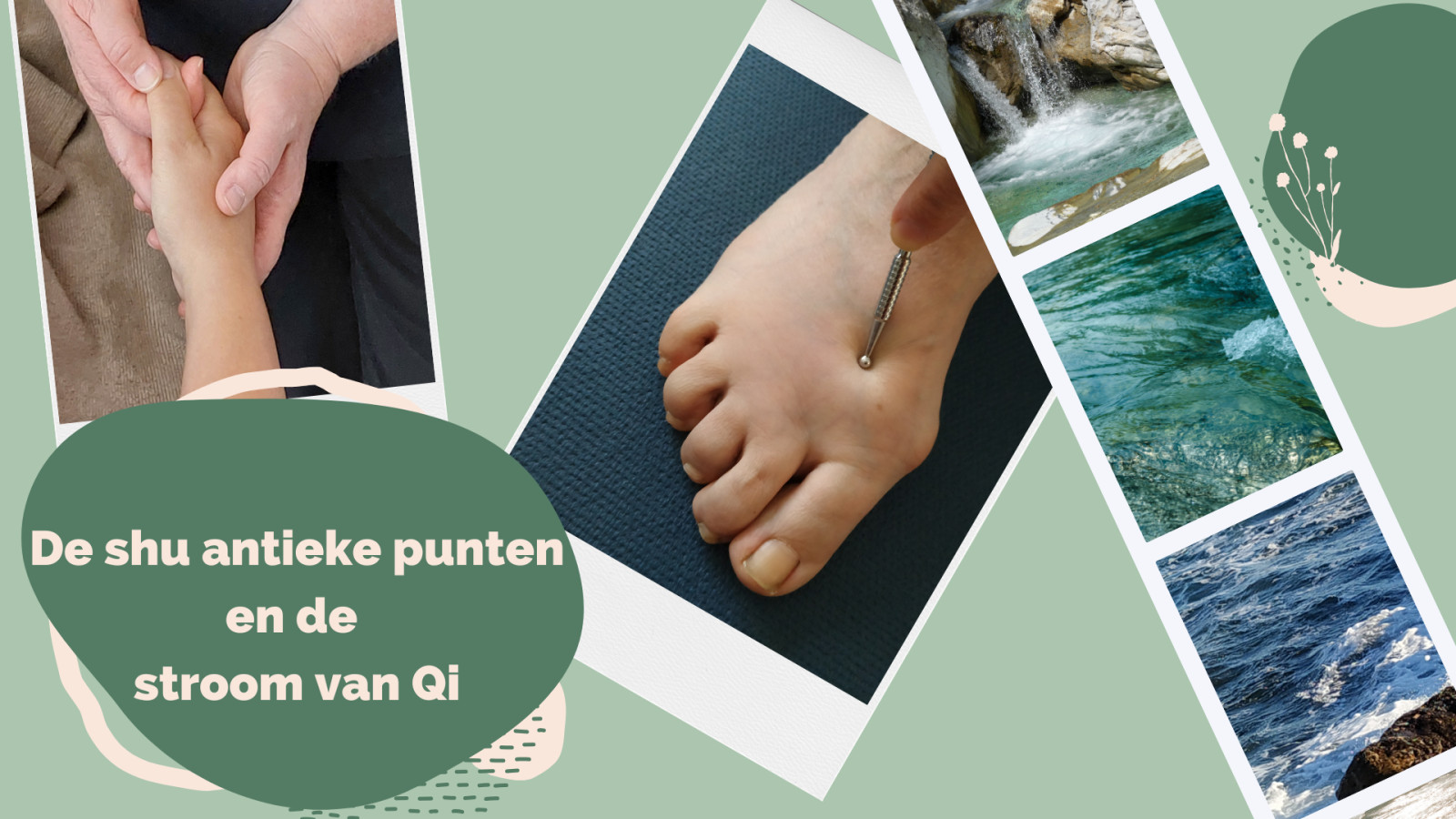 De Shu-antieke punten en de stroom van Qi