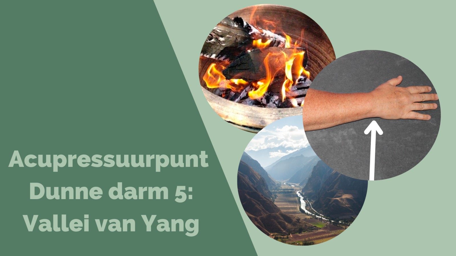 Acupressuurpunt Dunne Darm 5