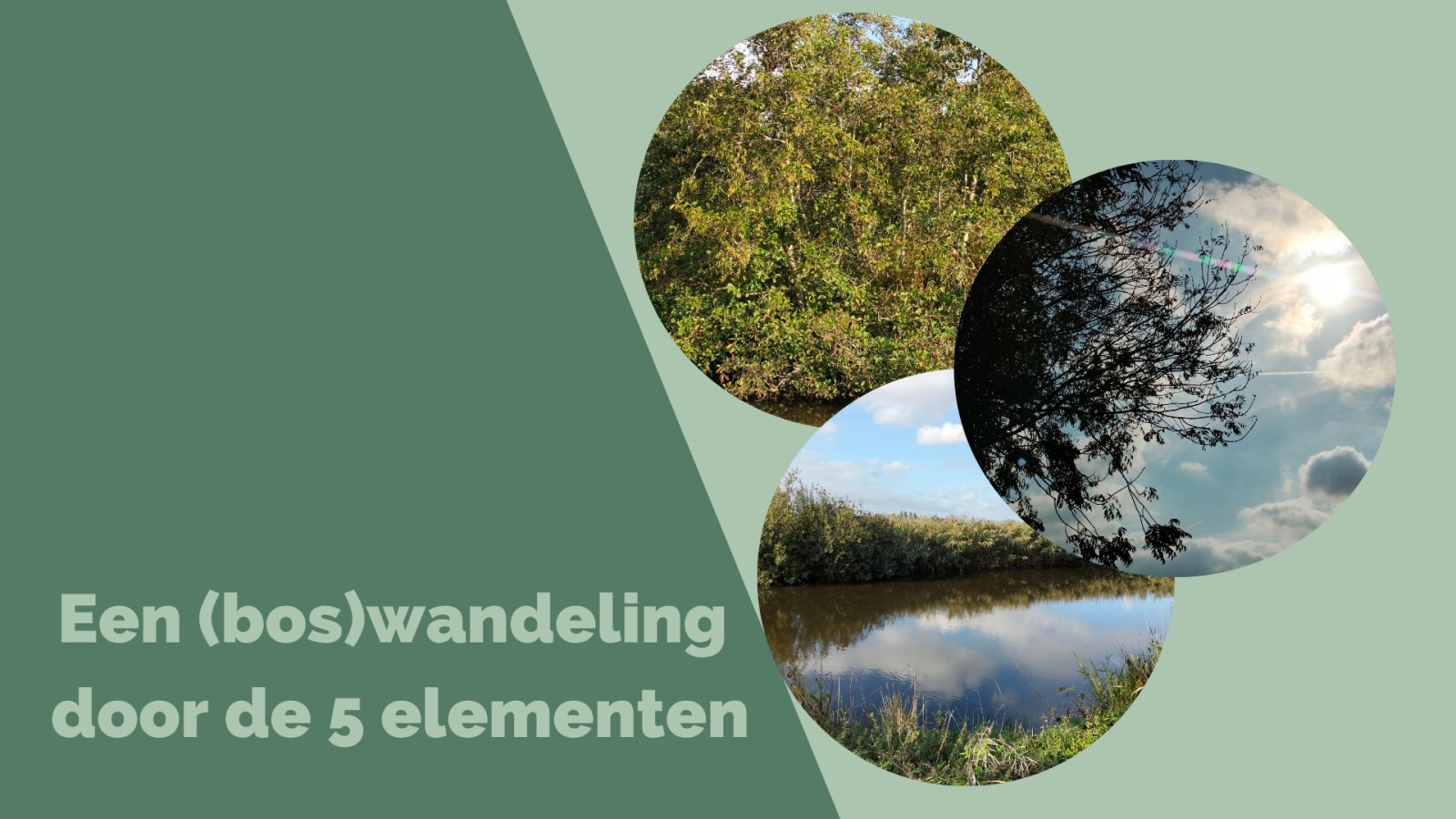 Een (bos)wandeling door de vijf elementen
