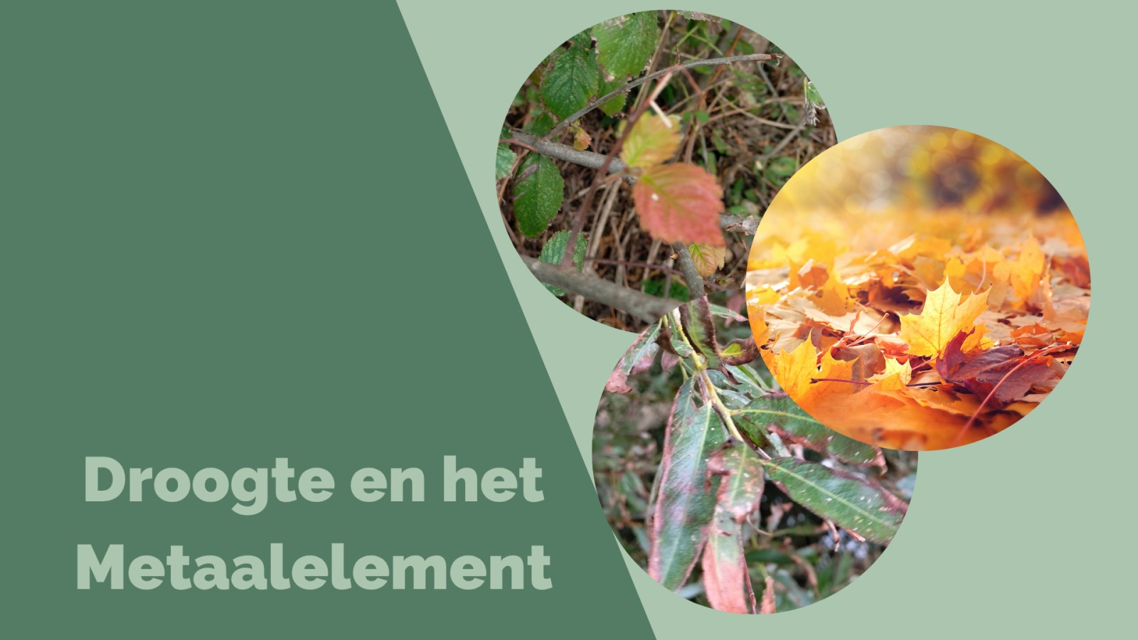 Droogte en het Metaalelement
