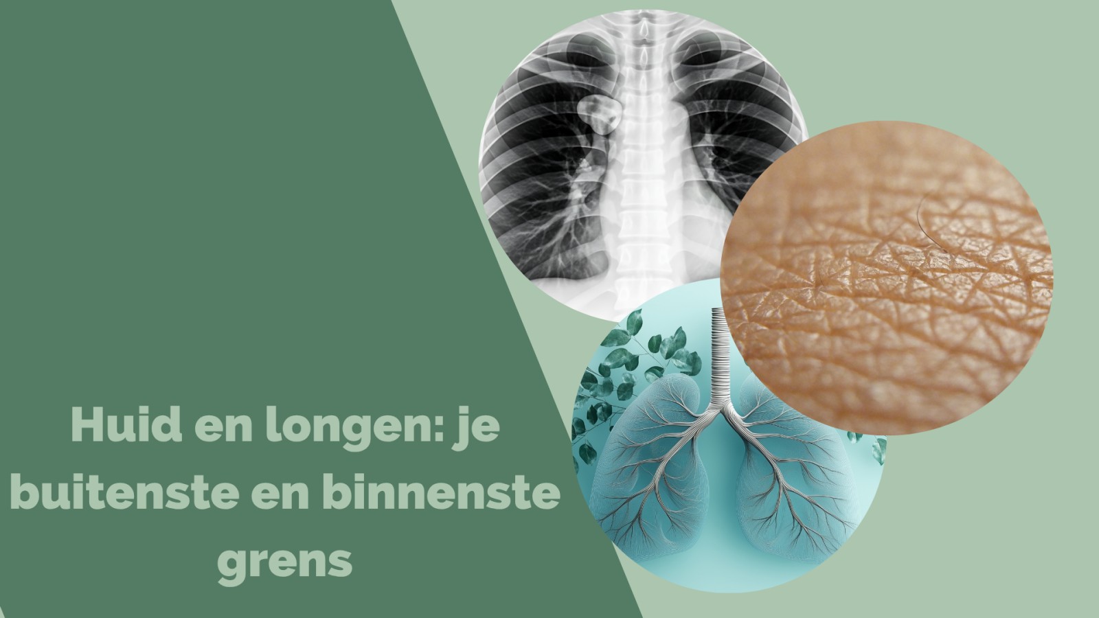 Huid en Long: je buitenste en binnenste grens