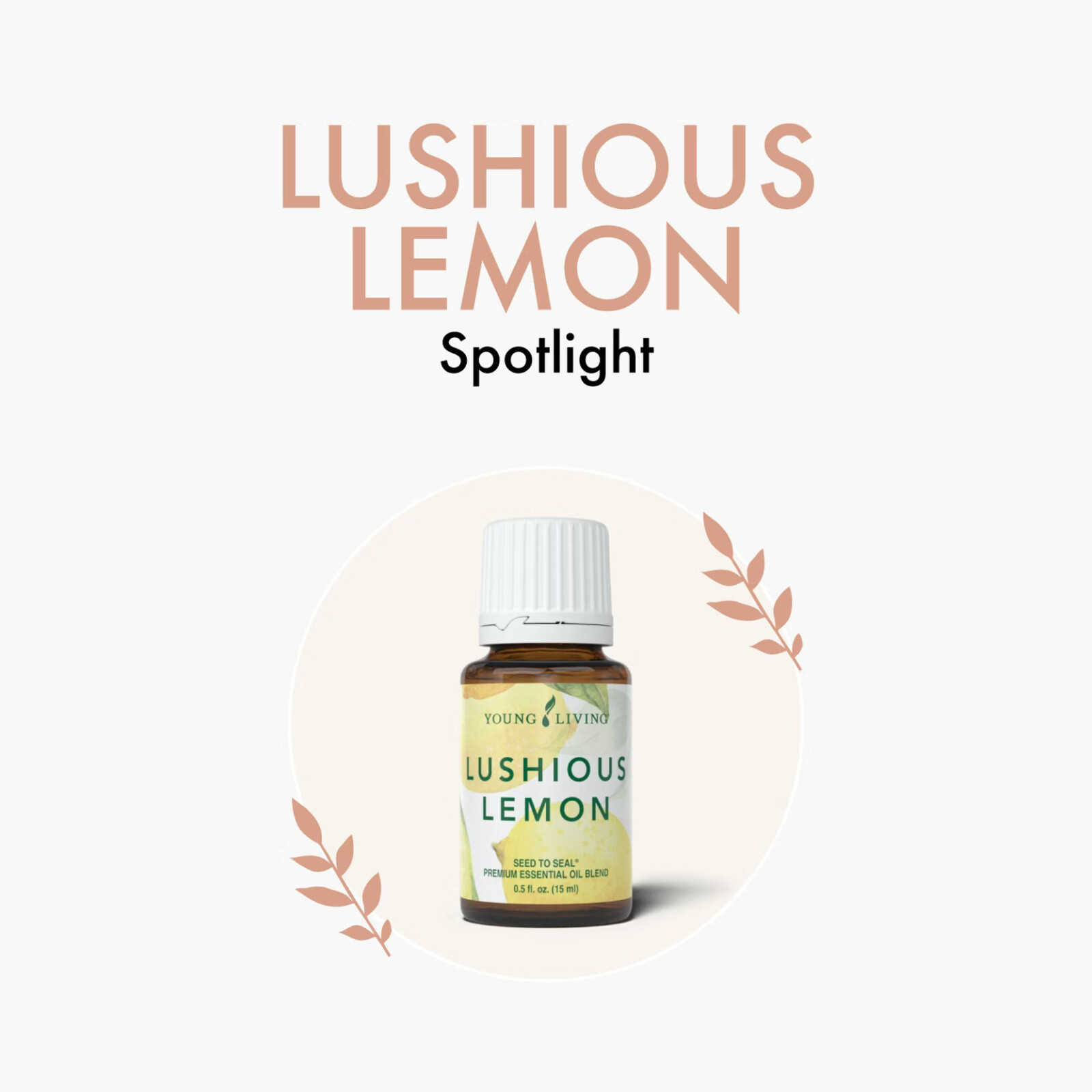 Lushious Lemon Spotlight