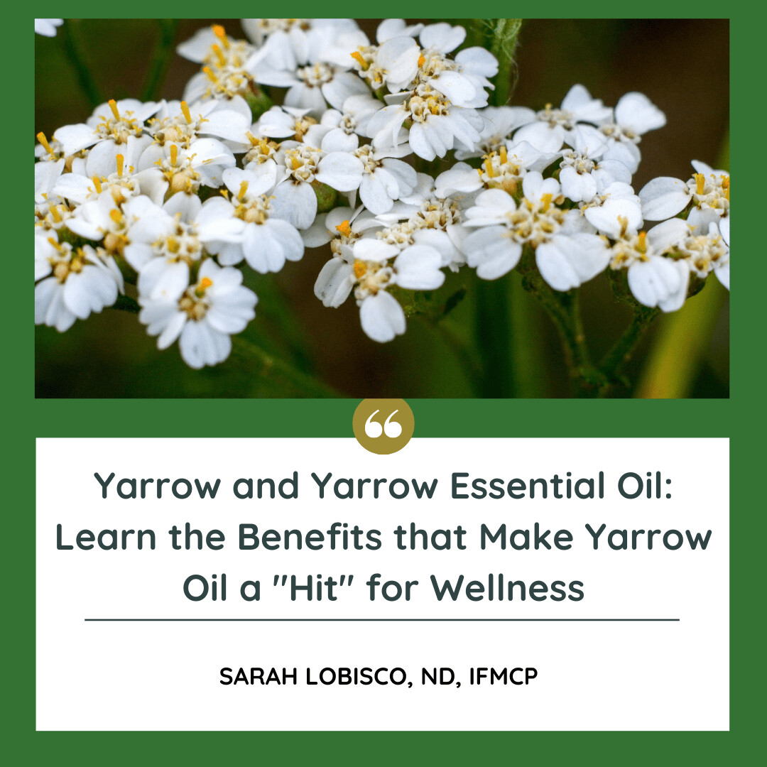 The Many Benefits fo Yarrow (Achillea Millifoliam) Essential Oil