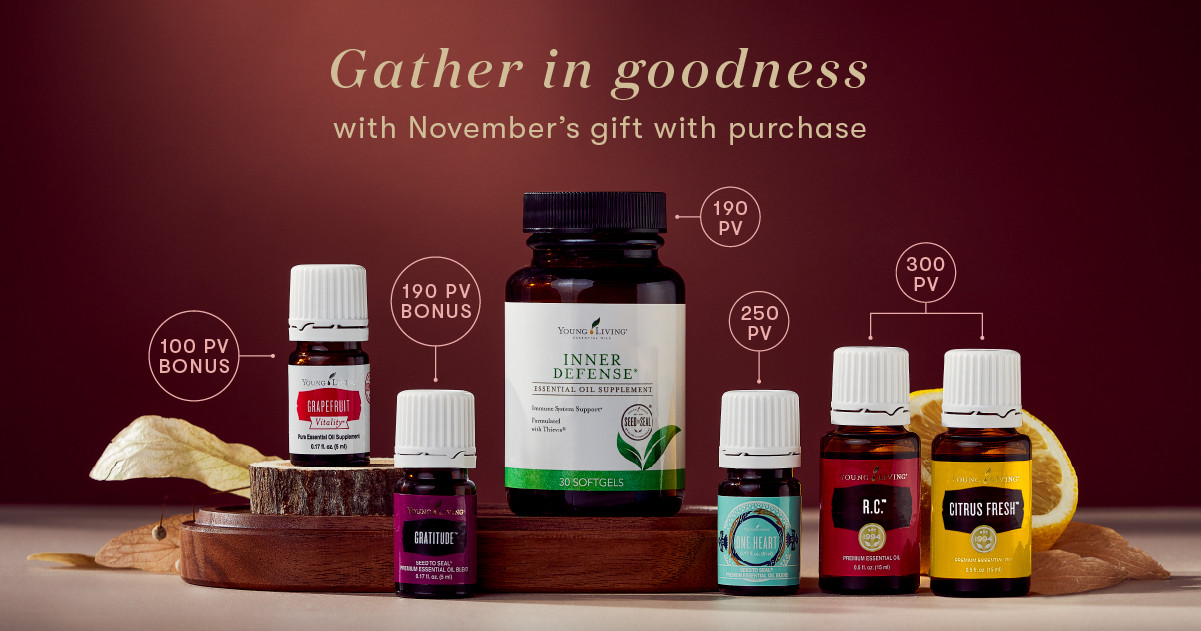 Giving Thanks for November 2023's Gifts with Purchase