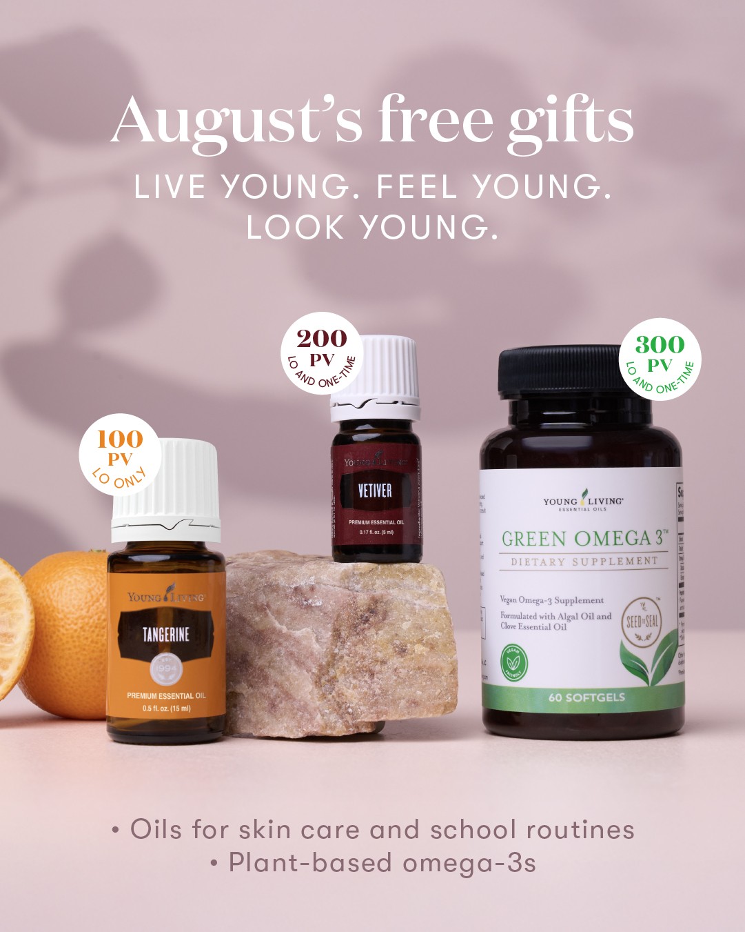 Support Your Brain and Body During the Fall Transition with August 2025's Gifts with Purchase 🧠 