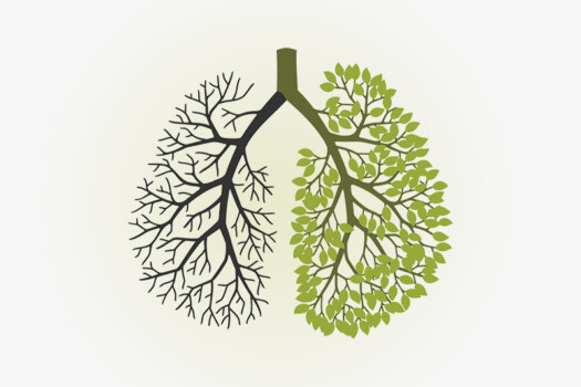 Keeping Balance In The Body: The Lungs & Large Intestine