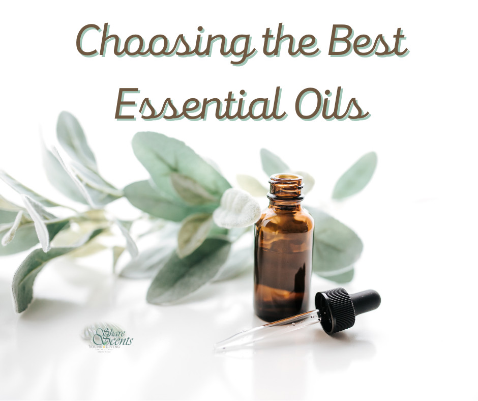 Choosing the right Essential Oil company