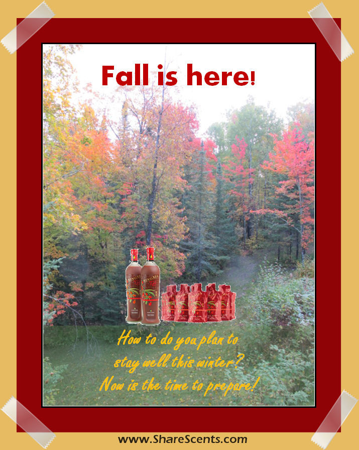 Fall is Here!...Prepare for Wellness!