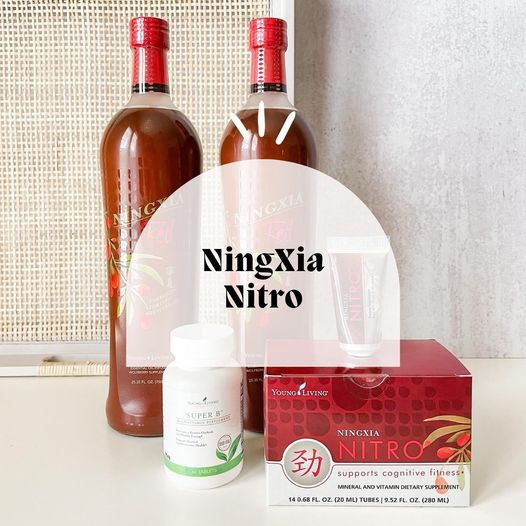 Energy Challenge : NingXia Nitro