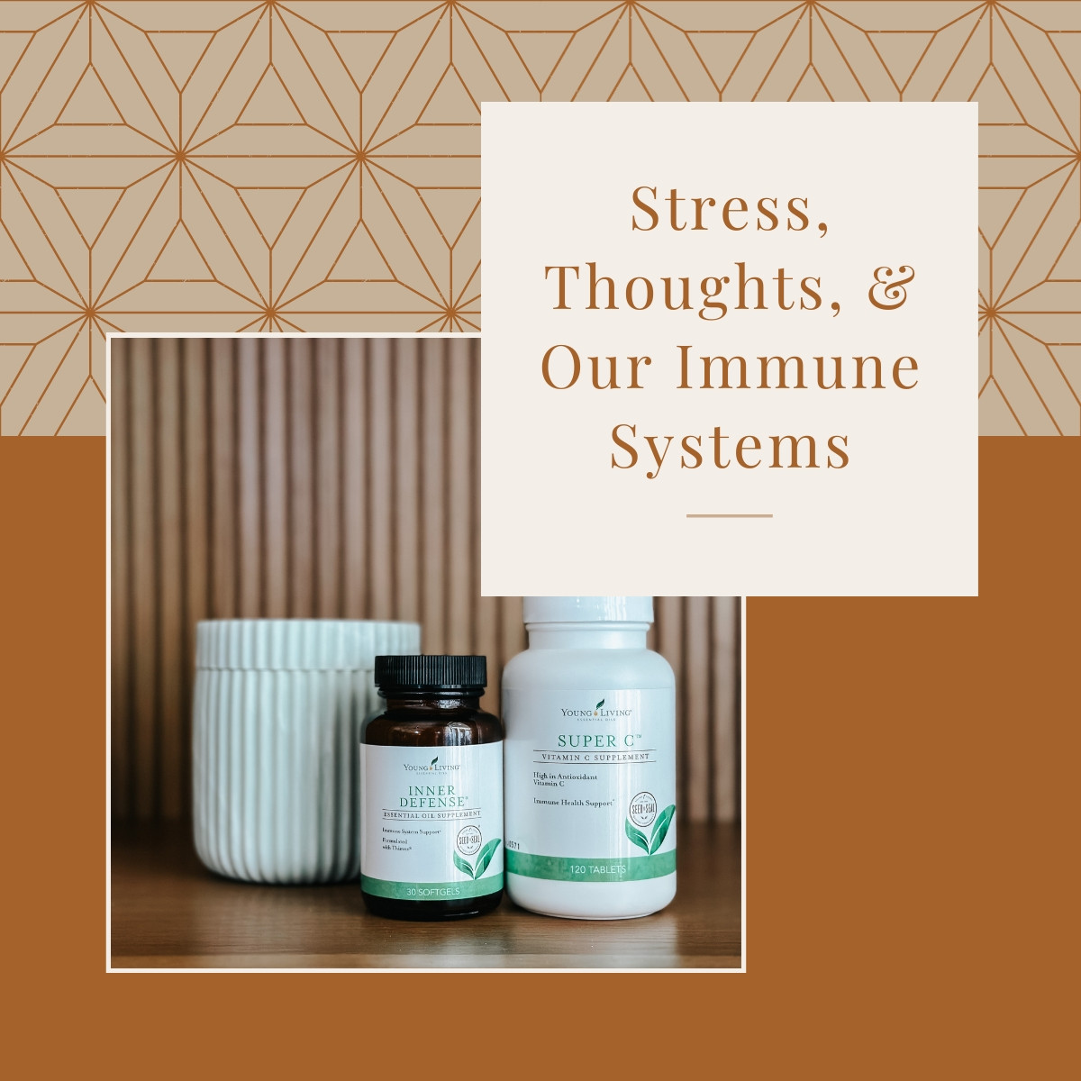 Stress, Thoughts, & Our Immune Systems