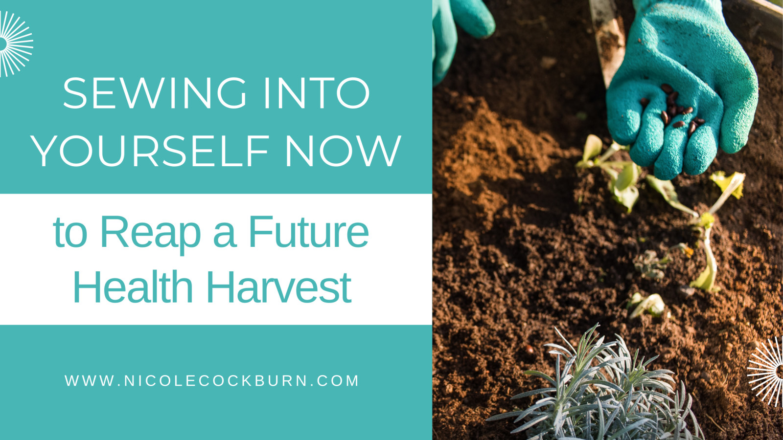 Sewing Into Yourself Now to Reap a Future Health Harvest