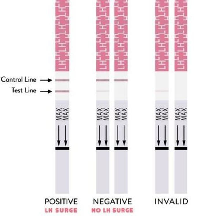 Should LH Strips be used for Avoiding Pregnancy?