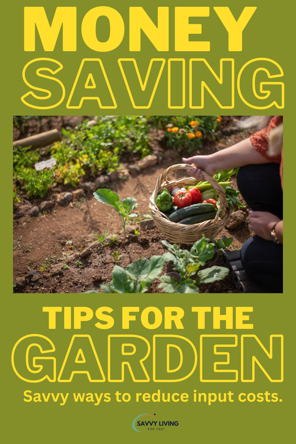 Money-Saving Tips for the Garden