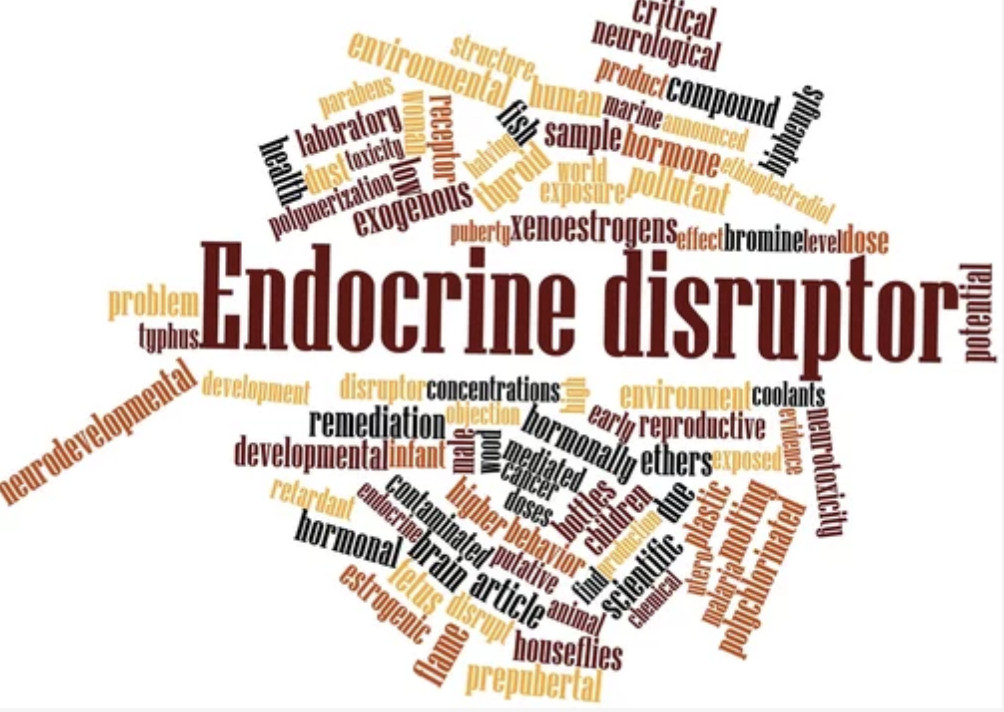 Unveiling the Hidden Threat - Endocrine Disruptors