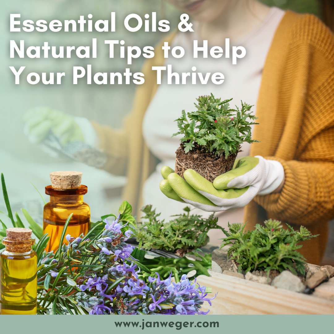 Essential Oils & Garden Hacks for Every Green Thumb