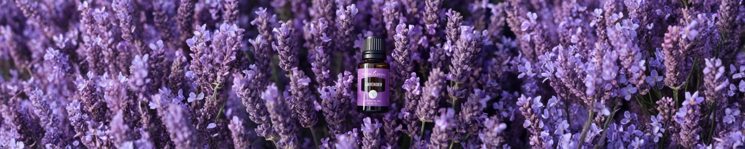Lavender Essential Oil: Nature's Calming Elixir