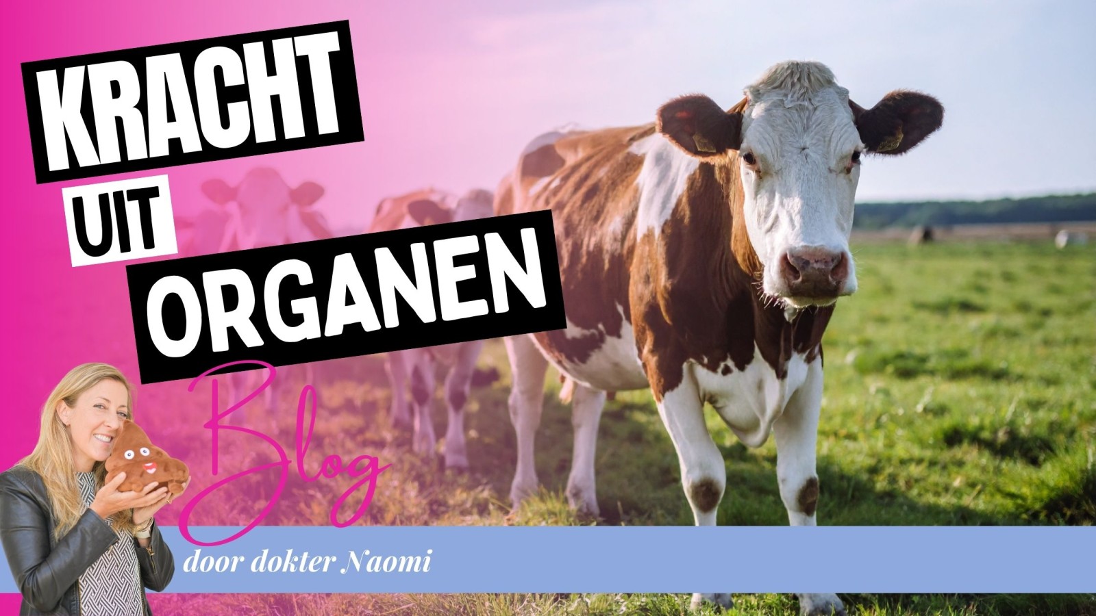 Vergeten superfood in een capsule: is orgaanvlees de échte multivitamine?