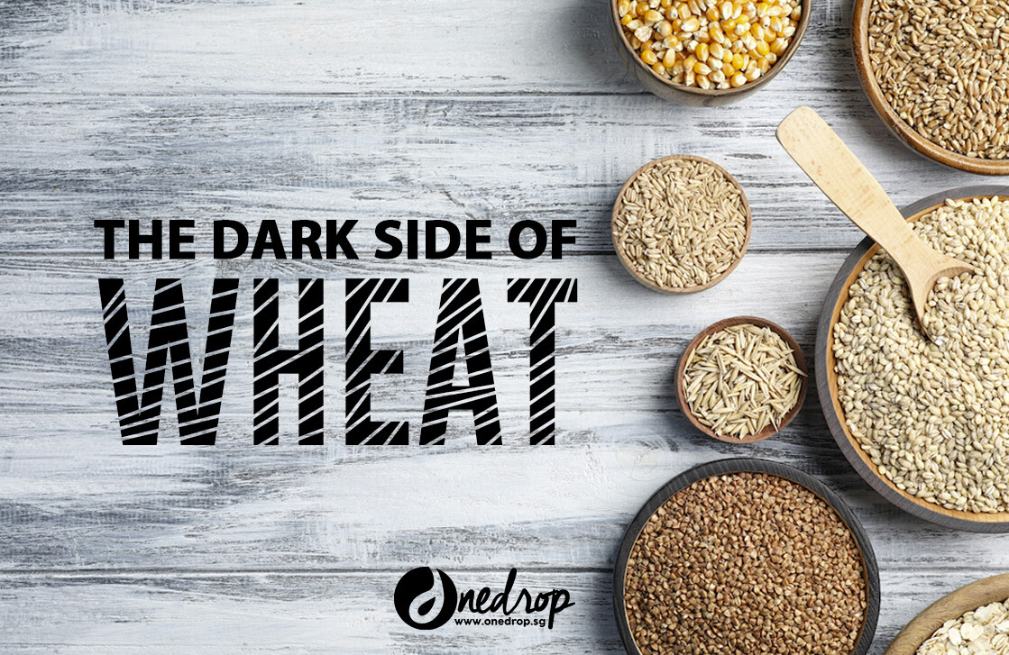 THE DARK SIDE OF WHEAT