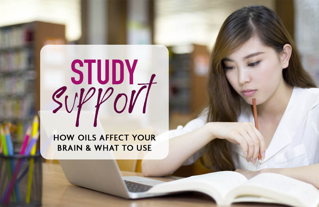 STUDY SUPPORT