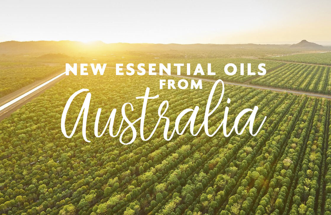 NEW OILS FROM DOWN UNDER