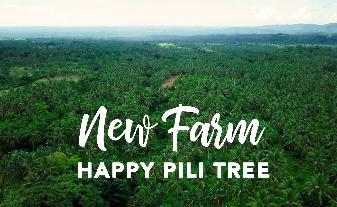 HAPPY PILI TREE FARM