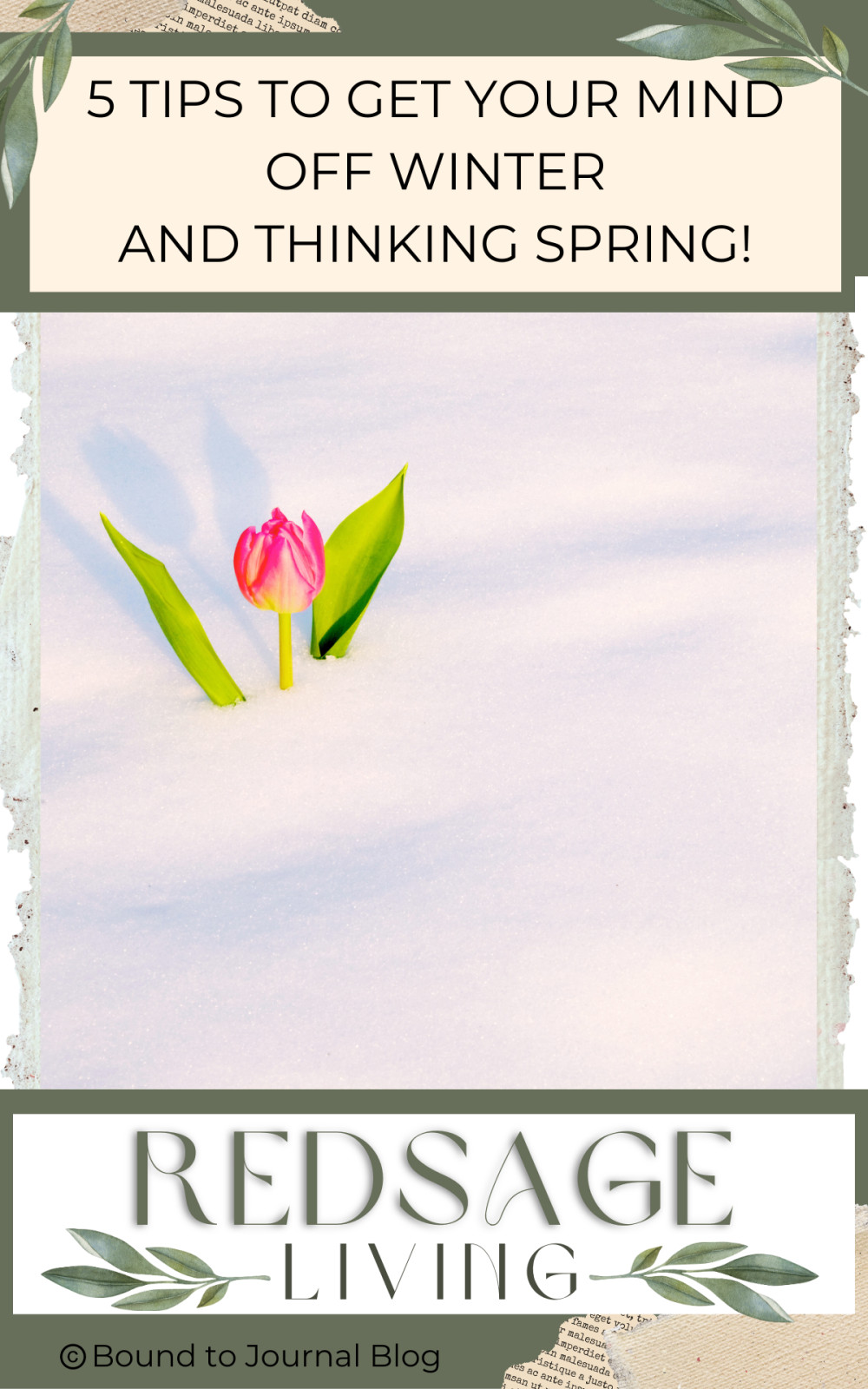 5 Tips to Get Your Mind Off Winter and Thinking Spring!