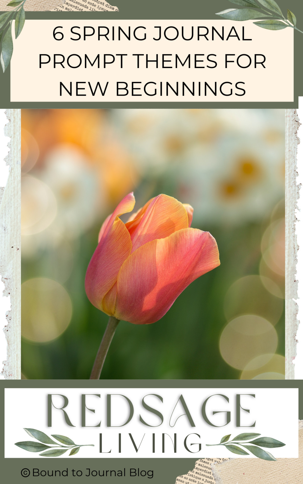 6 Spring Journal Prompt Themes for New Beginnings