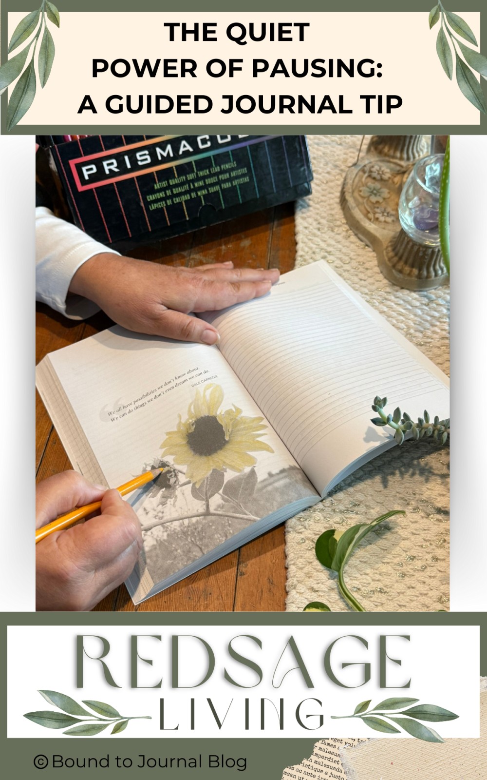 The Quiet Power of Pausing: A Guided Journal Tip