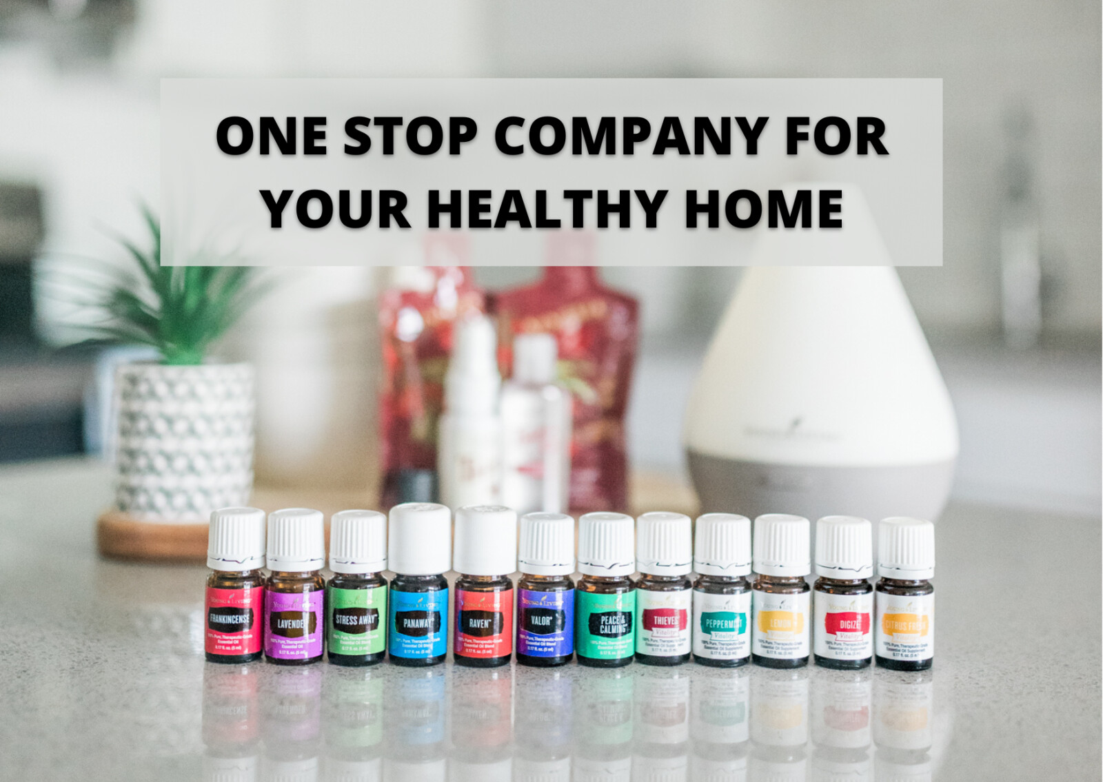 ONE STOP COMPANY FOR YOUR HEALTHY HOME