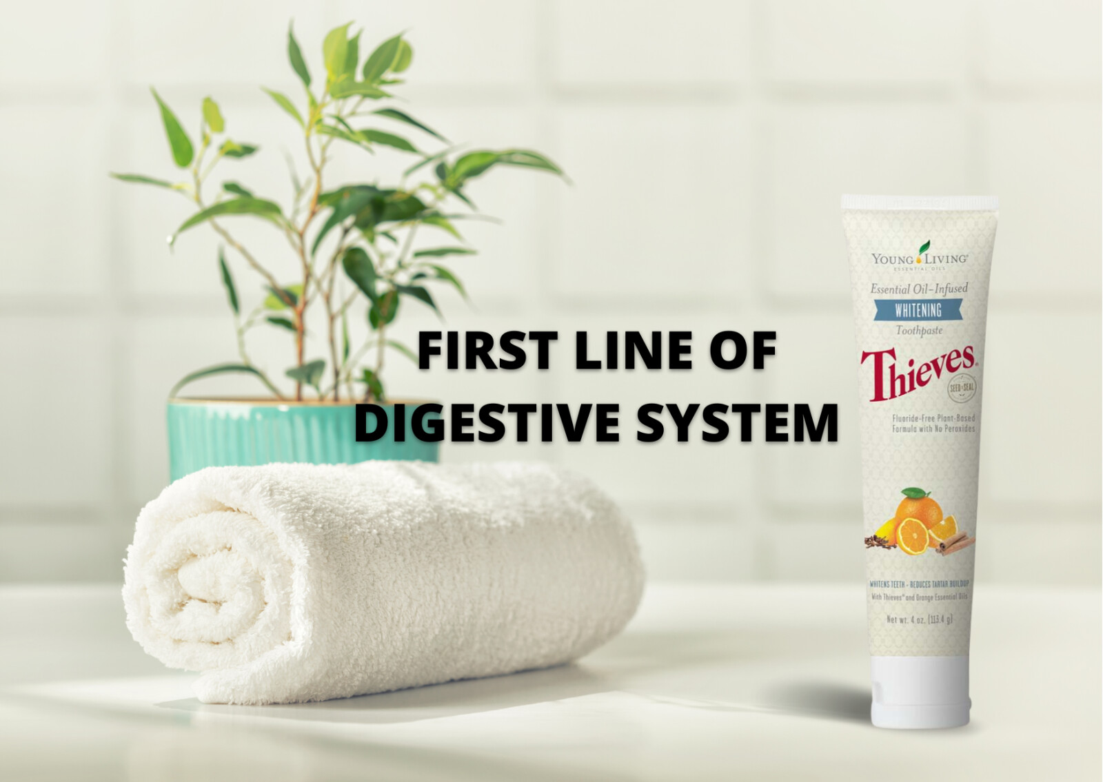 FIRST LINE OF DIGESTIVE SYSTEM - THIEVES TOOTHPASTE