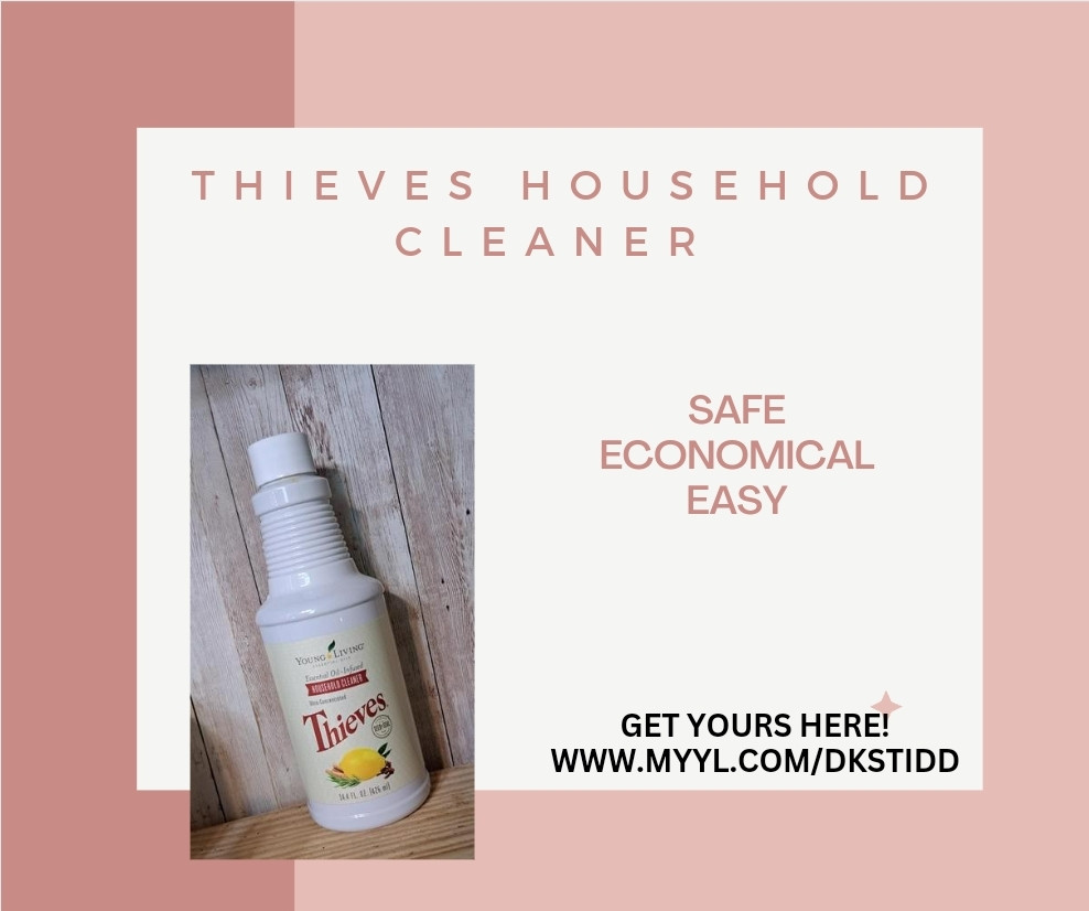 Products That Have Our Loyalty: Thieves Household Cleaner