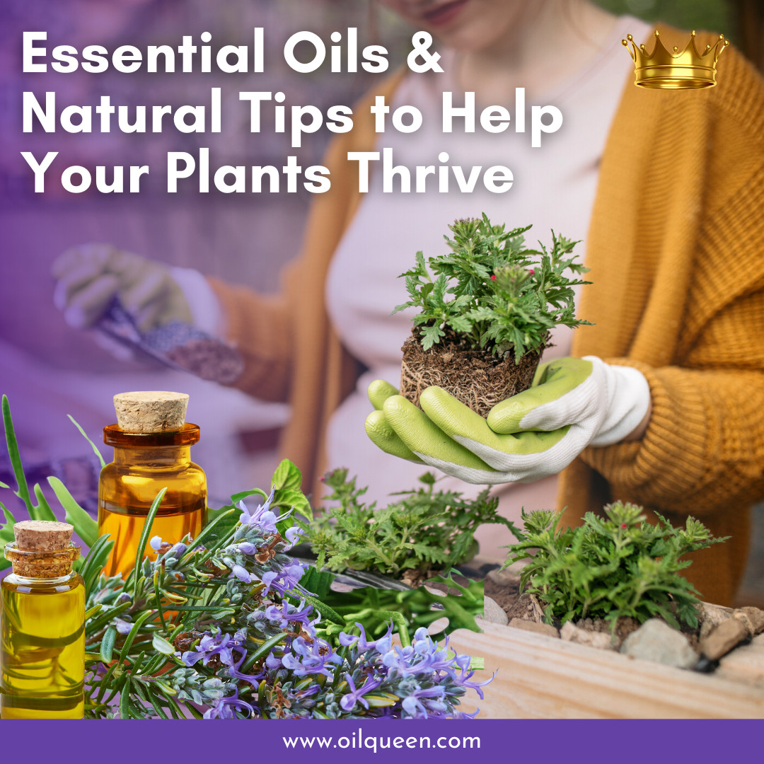 Garden Smarts & Oil-Powered Hacks for Every Plant Parent