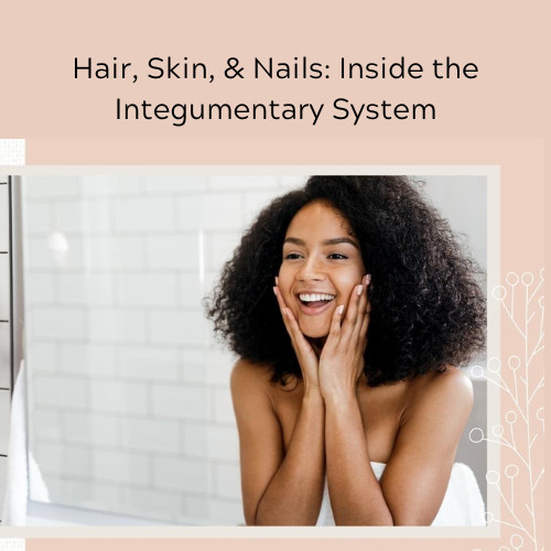 Hair, Skin, & Nails: Inside the Integumentary System