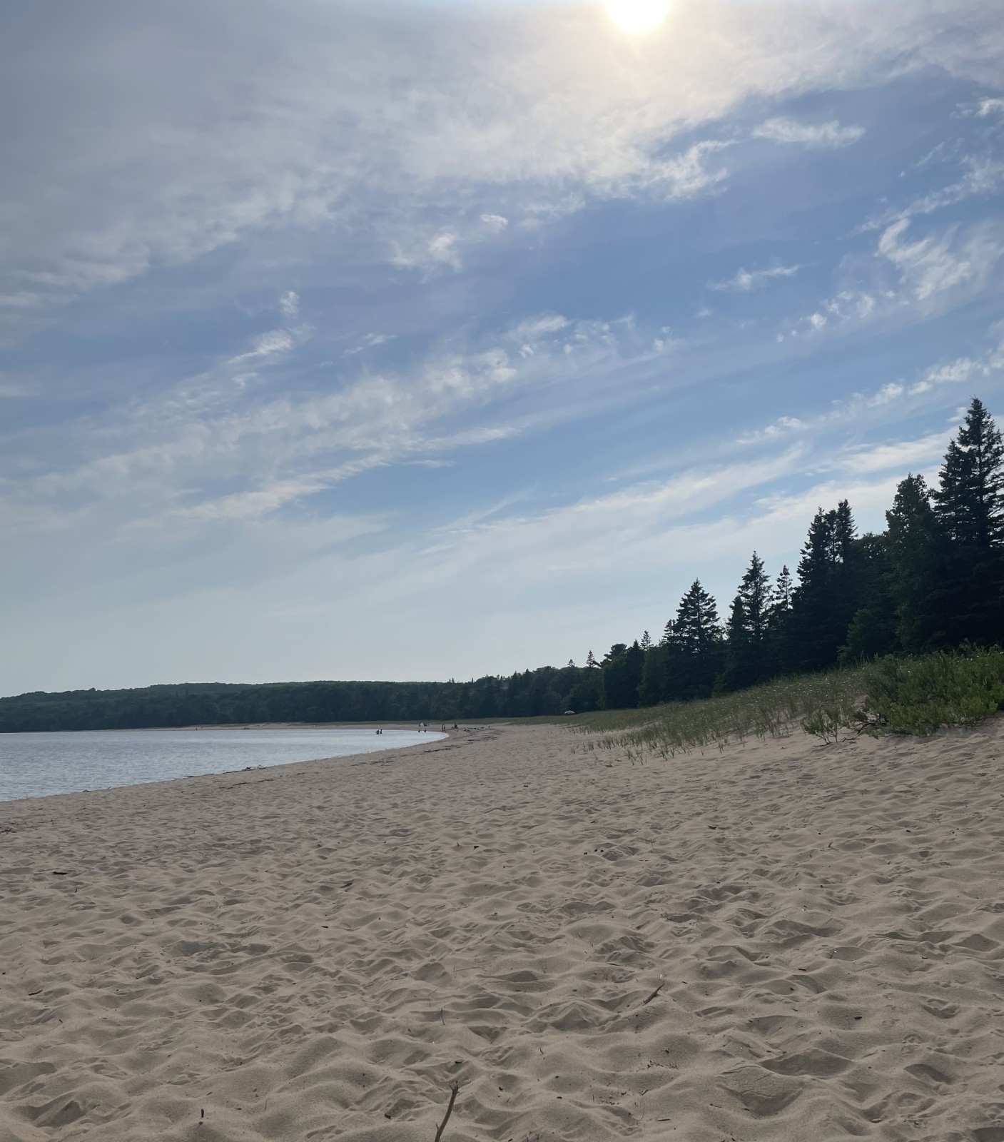 Summertime Musings