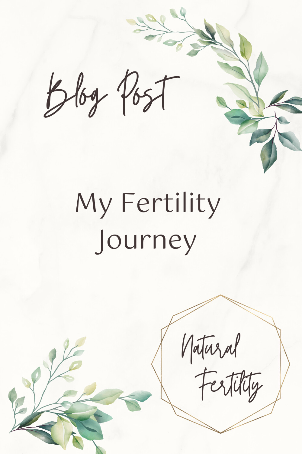 My Fertility Journey