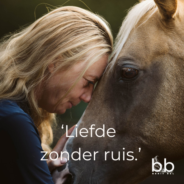 WAT MIJN DIEREN MIJ LEERDEN OVER HELING EN LIEFDE!