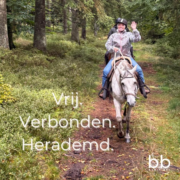 De kunst van loskomen om weer te landen.