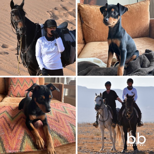 Wanneer het leven tegelijk breekt en begint: over verlies, adem, dieren en thuiskomen.